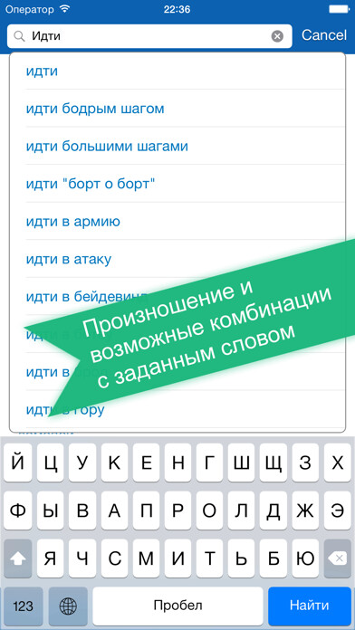 Emulate iPhone app Russian <> German Offline Dictionary + Online Translator using MyAndroid