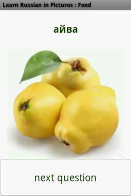 Emulate Android APK Russian in Pictures Food Free