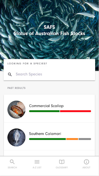 Run android online APK SAFS – Sustainable Fish Stocks from MyAndroid or emulate SAFS – Sustainable Fish Stocks using MyAndroid Run android online APK SAFS – Sustainable Fish Stocks from MyAndroid or emulate SAFS – Sustainable Fish Stocks using MyAndroid