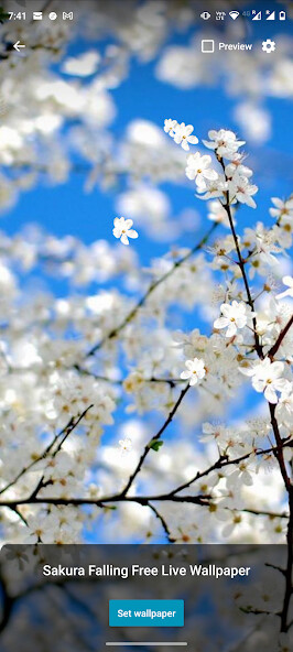 Run android online APK Sakura Falling Live Wallpaper from MyAndroid or emulate Sakura Falling Live Wallpaper using MyAndroid Run android online APK Sakura Falling Live Wallpaper from MyAndroid or emulate Sakura Falling Live Wallpaper using MyAndroid