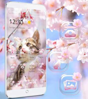 Emulate Android APK Sakura Kitty Theme Wallpaper