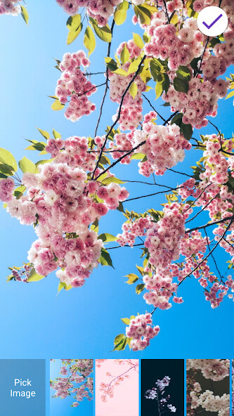 Emulate Android APK Sakura Lock Screen Emulate Android APK Sakura Lock Screen