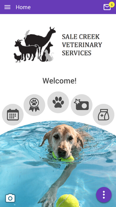 Emulate iPhone app Sale Creek Vet Services using MyAndroid