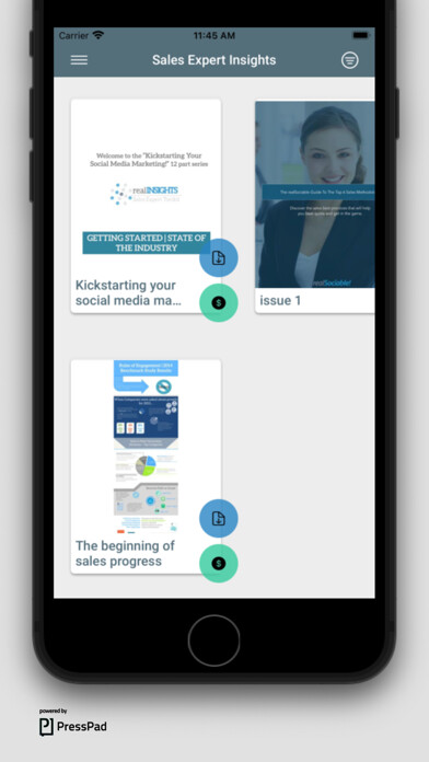 Emulate iPhone app Sales Expert Insights using MyAndroid Emulate iPhone app Sales Expert Insights using MyAndroid