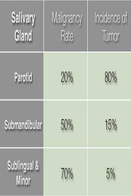 Emulate Android APK Salivary Gland Cancer Emulate Android APK Salivary Gland Cancer