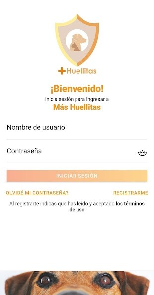 Run android online APK Salvavidas Cat-House from MyAndroid or emulate Salvavidas Cat-House using MyAndroid Run android online APK Salvavidas Cat-House from MyAndroid or emulate Salvavidas Cat-House using MyAndroid