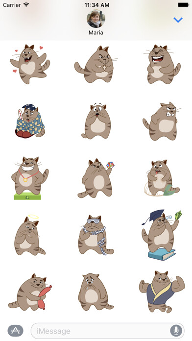 Emulate iPhone app Sancho Cat using MyAndroid