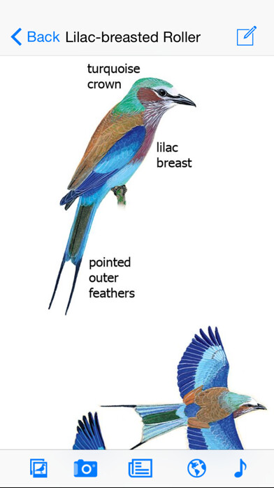 Emulate iPhone app Sasol eBirds of the Kruger National Park using MyAndroid