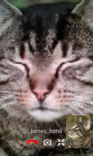 Emulate Android APK SauerPhone Video Chat