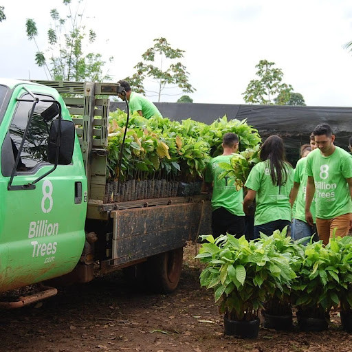 Run android online APK Save & Plant Real Trees from MyAndroid or emulate Save & Plant Real Trees using MyAndroid