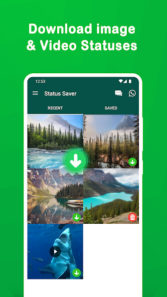 Run android online APK Saver for WhatsApp Save Status from MyAndroid or emulate Saver for WhatsApp Save Status using MyAndroid Run android online APK Saver for WhatsApp Save Status from MyAndroid or emulate Saver for WhatsApp Save Status using MyAndroid
