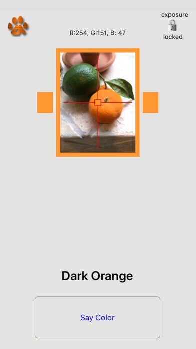Emulate iPhone app Say Color using MyAndroid Emulate iPhone app Say Color using MyAndroid