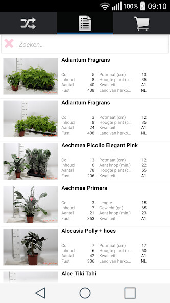 Run android online APK Scandiflora from MyAndroid or emulate Scandiflora using MyAndroid Run android online APK Scandiflora from MyAndroid or emulate Scandiflora using MyAndroid