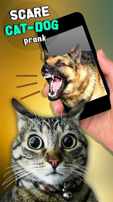 Emulate iPhone app Scare Cat - Dog Prank using MyAndroid Emulate iPhone app Scare Cat - Dog Prank using MyAndroid