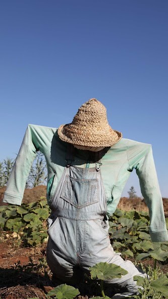 Run android online APK Scarecrow Wallpaper from MyAndroid or emulate Scarecrow Wallpaper using MyAndroid Run android online APK Scarecrow Wallpaper from MyAndroid or emulate Scarecrow Wallpaper using MyAndroid
