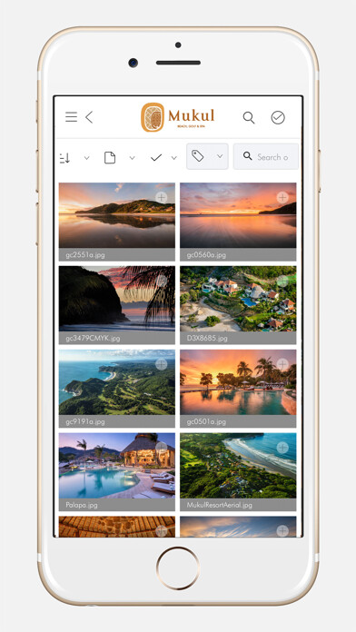 Run android online APK SCAURA from MyAndroid or emulate SCAURA using MyAndroid Run android online APK SCAURA from MyAndroid or emulate SCAURA using MyAndroid