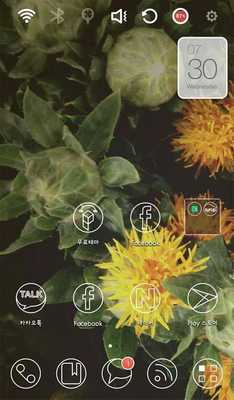 Emulate Android APK Scent of Love Launcher Theme