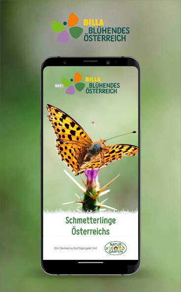 Run android online APK Schmetterlinge Österreichs from MyAndroid or emulate Schmetterlinge Österreichs using MyAndroid Run android online APK Schmetterlinge Österreichs from MyAndroid or emulate Schmetterlinge Österreichs using MyAndroid