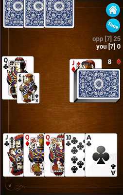 Emulate Android APK Schnapsen Online Emulate Android APK Schnapsen Online