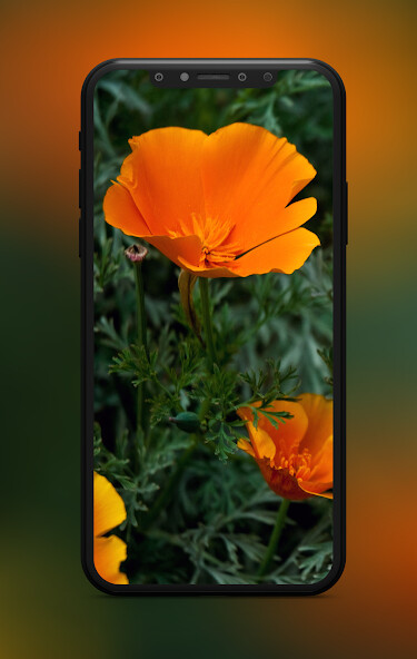 Run android online APK Scifi Daily  Wallpapers from MyAndroid or emulate Scifi Daily  Wallpapers using MyAndroid