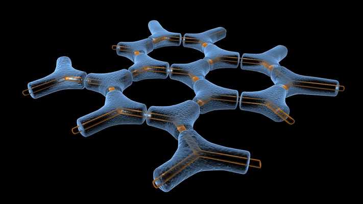 Emulate Android APK Sclerenchyma Tissue 3D Emulate Android APK Sclerenchyma Tissue 3D