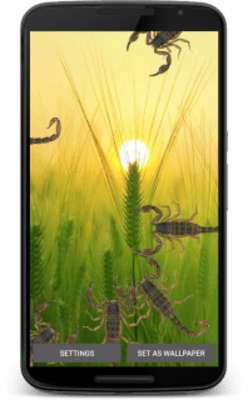 Emulate Android APK Scorpion Live Wallpaper Emulate Android APK Scorpion Live Wallpaper
