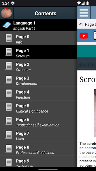Run android online APK Scrotum Anatomy from MyAndroid or emulate Scrotum Anatomy using MyAndroid