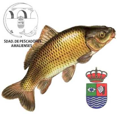 Emulate Android APK SDAD. PESCADORES AMALIENSES Emulate Android APK SDAD. PESCADORES AMALIENSES