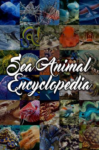 Run android online APK Sea Animal Encyclopedia from MyAndroid or emulate Sea Animal Encyclopedia using MyAndroid Run android online APK Sea Animal Encyclopedia from MyAndroid or emulate Sea Animal Encyclopedia using MyAndroid