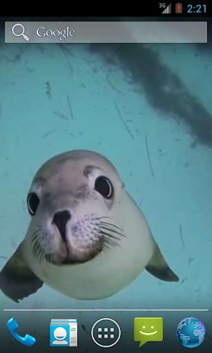 Run android online APK Sea Life HD Video Wallpapers Gallery from MyAndroid or emulate Sea Life HD Video Wallpapers Gallery using MyAndroid