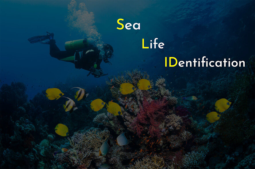 Run android online APK Sea Life ID from MyAndroid or emulate Sea Life ID using MyAndroid Run android online APK Sea Life ID from MyAndroid or emulate Sea Life ID using MyAndroid