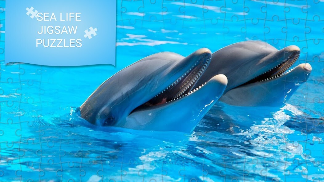 Run android online APK Sea life jigsaw puzzles games from MyAndroid or emulate Sea life jigsaw puzzles games using MyAndroid Run android online APK Sea life jigsaw puzzles games from MyAndroid or emulate Sea life jigsaw puzzles games using MyAndroid