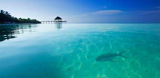 Run android online APK Seascapes Wallpapers HD from MyAndroid or emulate Seascapes Wallpapers HD using MyAndroid