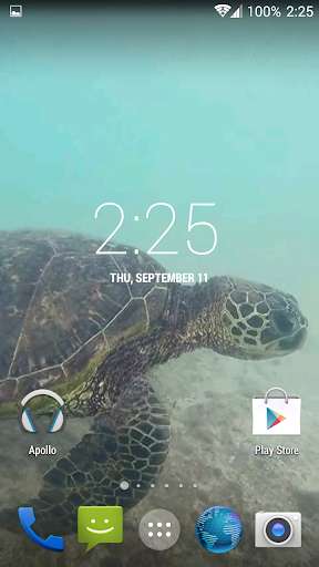 Emulate Android APK Sea Turtle HD. Wallpaper Emulate Android APK Sea Turtle HD. Wallpaper
