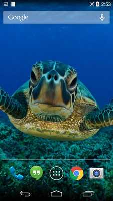 Emulate Android APK Sea Turtle Live Wallpaper FREE