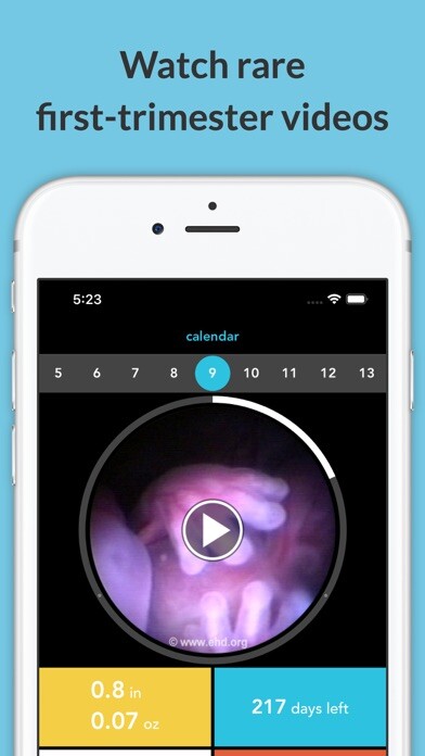 Emulate iPhone app See Baby Pregnancy Guide using MyAndroid Emulate iPhone app See Baby Pregnancy Guide using MyAndroid