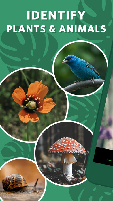 Run android online APK Seek by iNaturalist from MyAndroid or emulate Seek by iNaturalist using MyAndroid Run android online APK Seek by iNaturalist from MyAndroid or emulate Seek by iNaturalist using MyAndroid