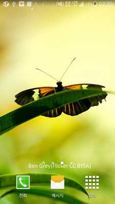 Emulate Android APK sense of spring livewallpaper