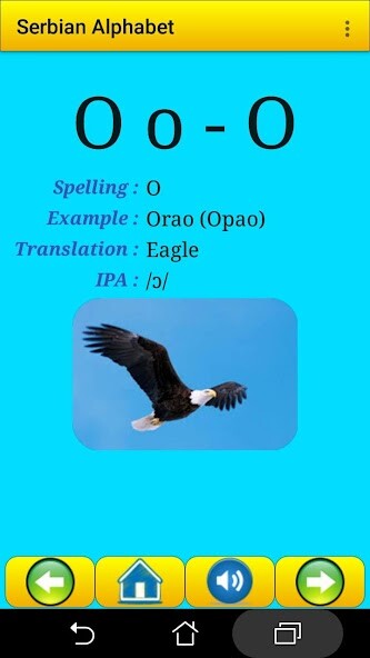 Run android online APK Serbian alphabet for students from MyAndroid or emulate Serbian alphabet for students using MyAndroid
