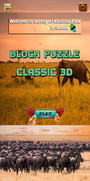 Run android online APK Serengeti Block Puzzle from MyAndroid or emulate Serengeti Block Puzzle using MyAndroid Run android online APK Serengeti Block Puzzle from MyAndroid or emulate Serengeti Block Puzzle using MyAndroid