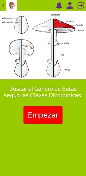 Run android online APK Setas Setamanía from MyAndroid or emulate Setas Setamanía using MyAndroid