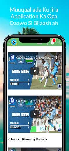 Run android online APK SFF League from MyAndroid or emulate SFF League using MyAndroid