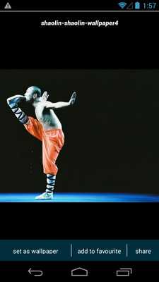 Emulate Android APK Shaolin Kungfu Wallpapers