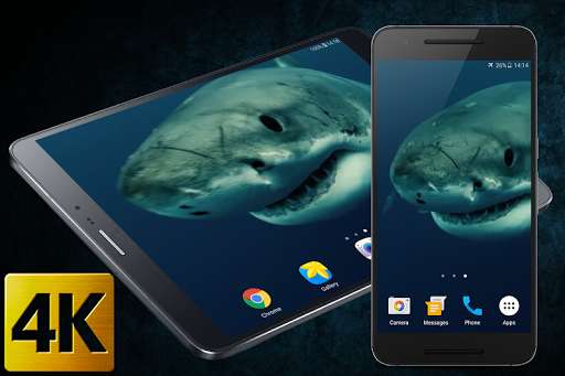 Run android online APK Shark 4K Live Wallpaper from MyAndroid or emulate Shark 4K Live Wallpaper using MyAndroid