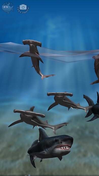 Emulate iPhone app Shark Fingers! 3D Interactive Aquarium FREE using MyAndroid Emulate iPhone app Shark Fingers! 3D Interactive Aquarium FREE using MyAndroid