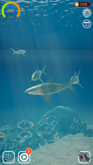 Run android online APK Shark Ocean from MyAndroid or emulate Shark Ocean using MyAndroid Run android online APK Shark Ocean from MyAndroid or emulate Shark Ocean using MyAndroid