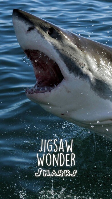 Emulate iPhone app Shark Puzzles for Kids Jigsaw Wonder Collection using MyAndroid Emulate iPhone app Shark Puzzles for Kids Jigsaw Wonder Collection using MyAndroid