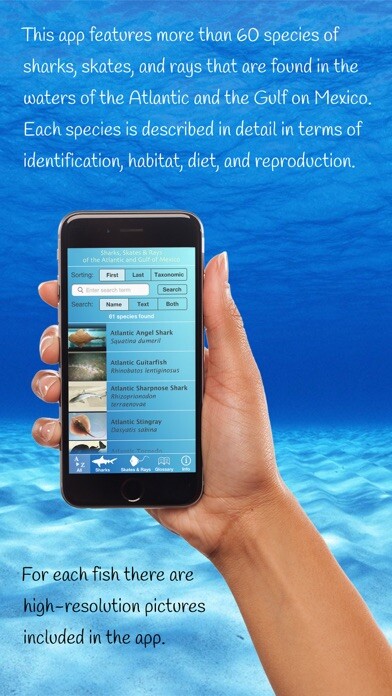 Emulate iPhone app Sharks and Rays using MyAndroid Emulate iPhone app Sharks and Rays using MyAndroid