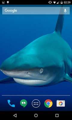 Emulate Android APK Sharks HD Wallpaper Pro Emulate Android APK Sharks HD Wallpaper Pro