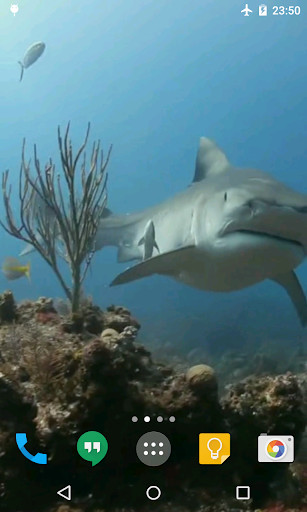Emulate Android APK Sharks Live Wallpaper Emulate Android APK Sharks Live Wallpaper